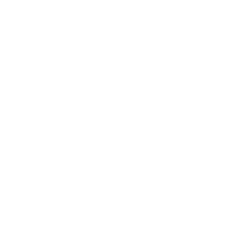 Expert Support icon