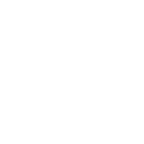 fast delivery icon